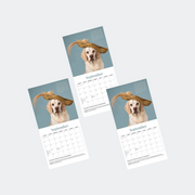 Haute Dogs x Rushton Dog Rescue 2025 Calendar