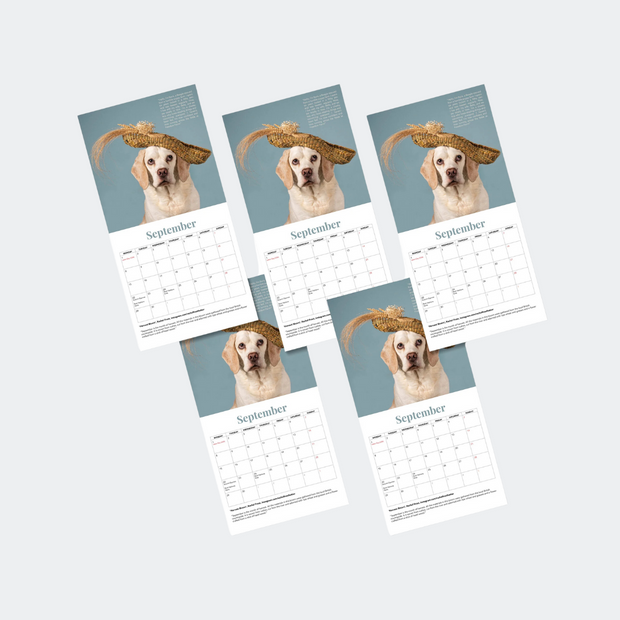 Haute Dogs x Rushton Dog Rescue 2025 Calendar