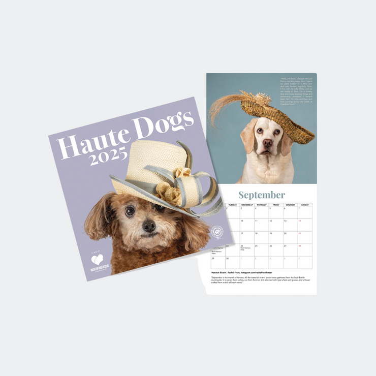 Haute Dogs x Rushton Dog Rescue 2025 Calendar