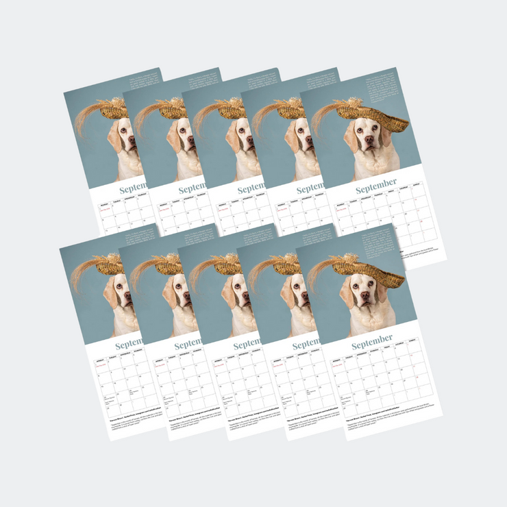 Haute Dogs x Rushton Dog Rescue 2025 Calendar