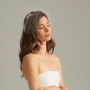 Birdcage Veil - White/Silver