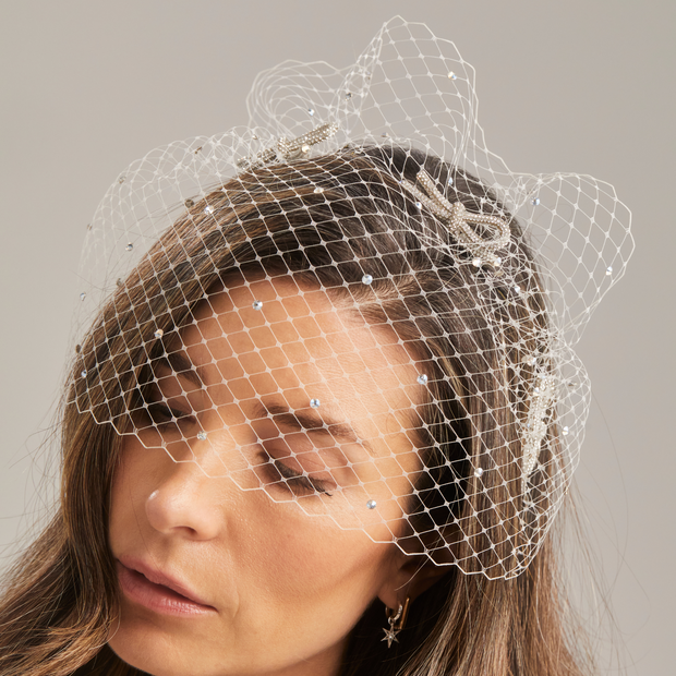 Birdcage Veil - White/Silver