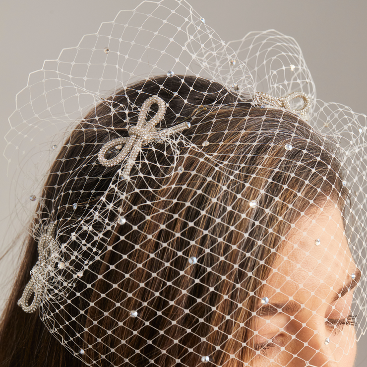 Birdcage Veil - White/Silver